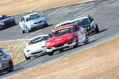 media/May-06-2023-Lucky Dog Racing (Sat) [[8f2256f436]]/Turn 2 10a/